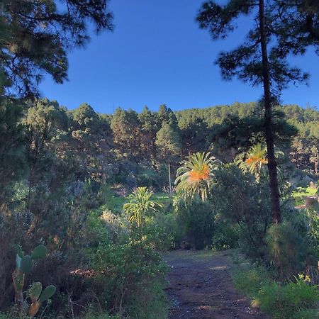 Monte Frio De Tenerife La Guancha 외부 사진